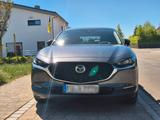 Mazda CX-30 e-SKYACTIV-X M-Hybrid Exclusive-Line A... - Mazda CX-30 Exclusive-Line mit Hybrid-Antrieb (Benzin/Elektro)