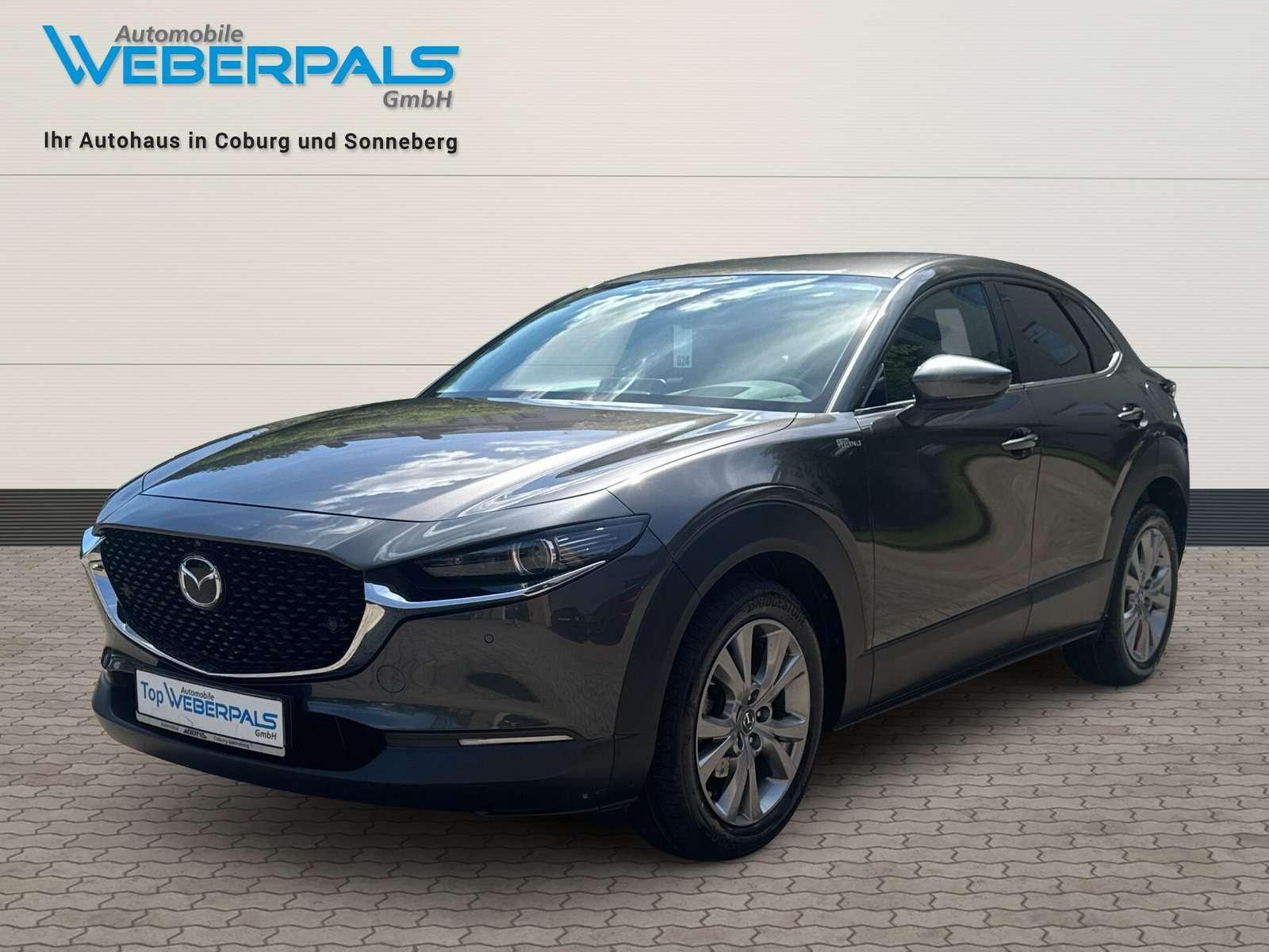 Mazda CX-30 Selection 2WD-BOSE-NAVI-360 KAMERA-MATRIX-