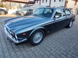 Jaguar XJ12