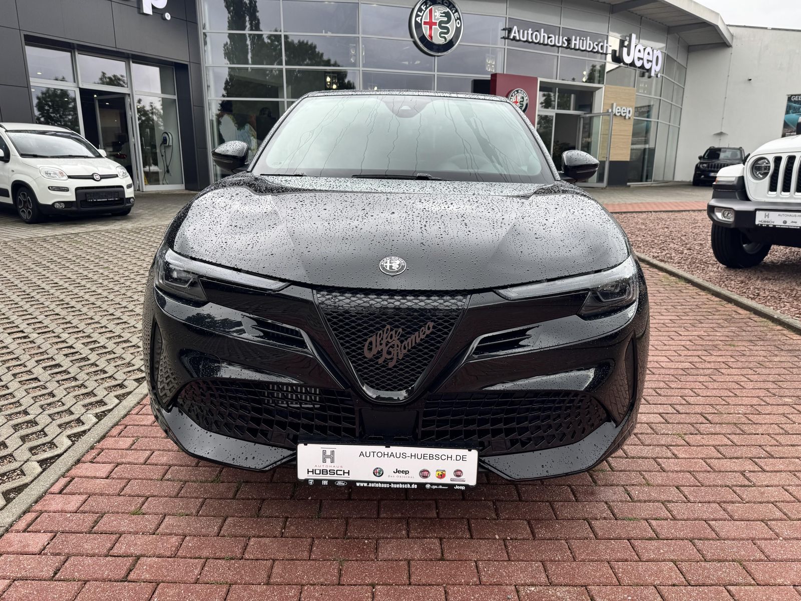 Alfa Romeo Junior - Bild 2