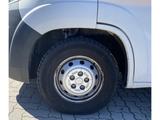 Fiat Ducato Maxi Grossr.-Kasten 35 130 L5H2 RS 4035 m - gebrauchte Fiat Ducato aus dem Jahr 2019