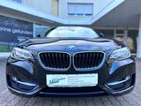 BMW 2 Cabrio 218 i Bi-Xenon Navi Leder Alu Pdc Euro6 - BMW 218: I