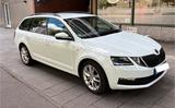 Skoda Combi 1.0 TSI | AHK | 8x Alu | TÜV 2027 | 1.Hand - Skoda in München