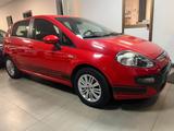 Fiat Punto Evo 1.3 Mjt 95 CV DPF 5 porte S&S Dyn - rote Fiat Punto Evo