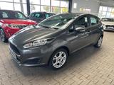 Ford Fiesta Trend,NAVI,SCHECKHEFT,GARANTIE - Ford Fiesta: Standheizung