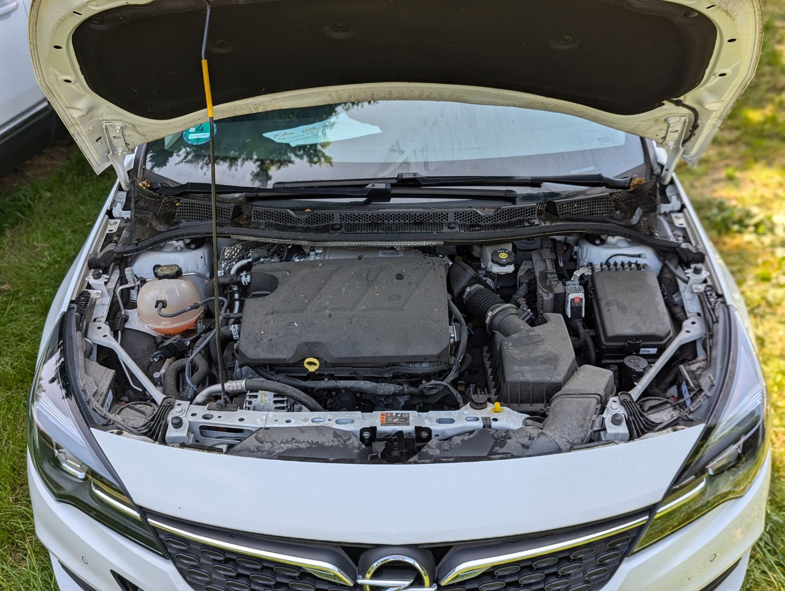 OPEL Astra 1.5 CDTI Aut. Elegance Navi LED Kamera - Image 8
