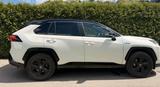 Toyota RAV4 Hybrid, Selection, AWD, AHK, Winterreifen