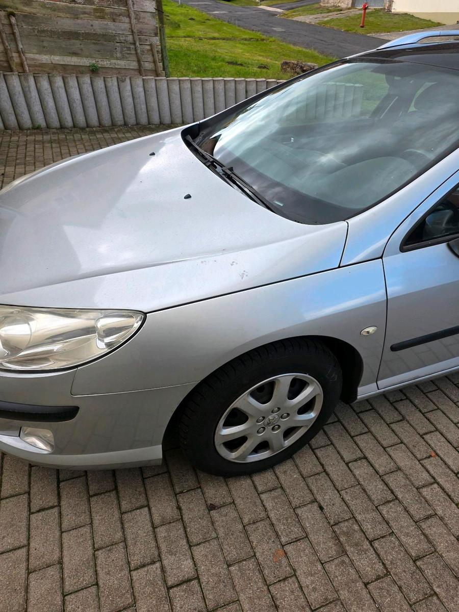 Peugeot 407 2005 — rear view