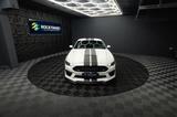 Ford Mustang Shelby GT 500 Coupe Performance PREMIUM - Ford: Shelby