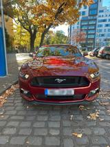 Ford Mustang 5,0 GT - Ford Mustang: For