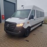 Mercedes-Benz Sprinter 316 L3H2 Raptor - Wohnwagen in Hamm