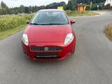 Fiat Punto 1.2 8V Grande/Klima/eFH - Fiat Punto Gebrauchtwagen in Hamburg