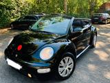 Volkswagen Vw Beetle Cabrio 1.6 MIT HU bis 02.2027 - Volkswagen Beetle aus 2004: Cabrio