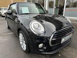 MINI COOPER CABRIO/CHILI/NAVI/PDC/SHZ/LEDER/LED/17" - MINI MINI: Schwarz, Cabrio