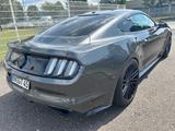 Ford Mustang 5.0 GT Performance Navi+Camera/Borla/PDC - Ford Mustang: Performance