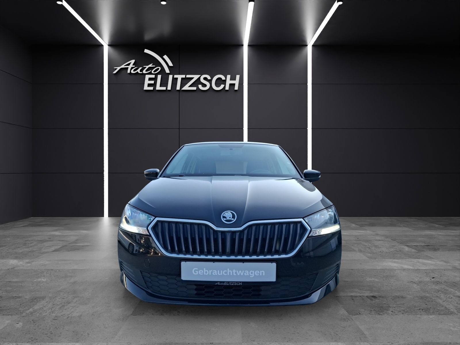 Fahrzeugabbildung SKODA Fabia TSI Cool-Plus Klima SH