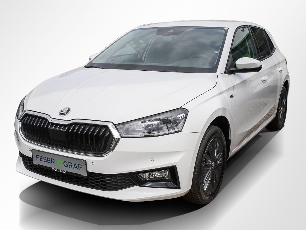 Skoda Fabia 1.0 TSI Tour ACC LED Navi RüKa Sitzh.