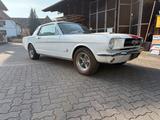 Ford Mustang 66 pony , tüv , motor neu , A... - Ford Mustang: Motor