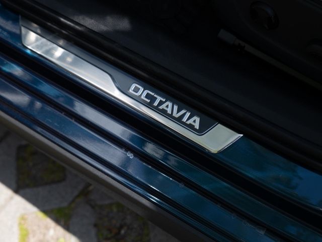 Octavia Combi Scout 4x4 2.0 TSI DSG, 19 Zoll, Pa