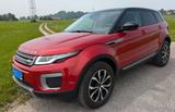 Land Rover Range Rover Evoque 2.0 TD4 110kW Pure Autom.... - Land Rover Range Rover Evoque mit Diesel-Antrieb: Geländewagen, Td4 Pure