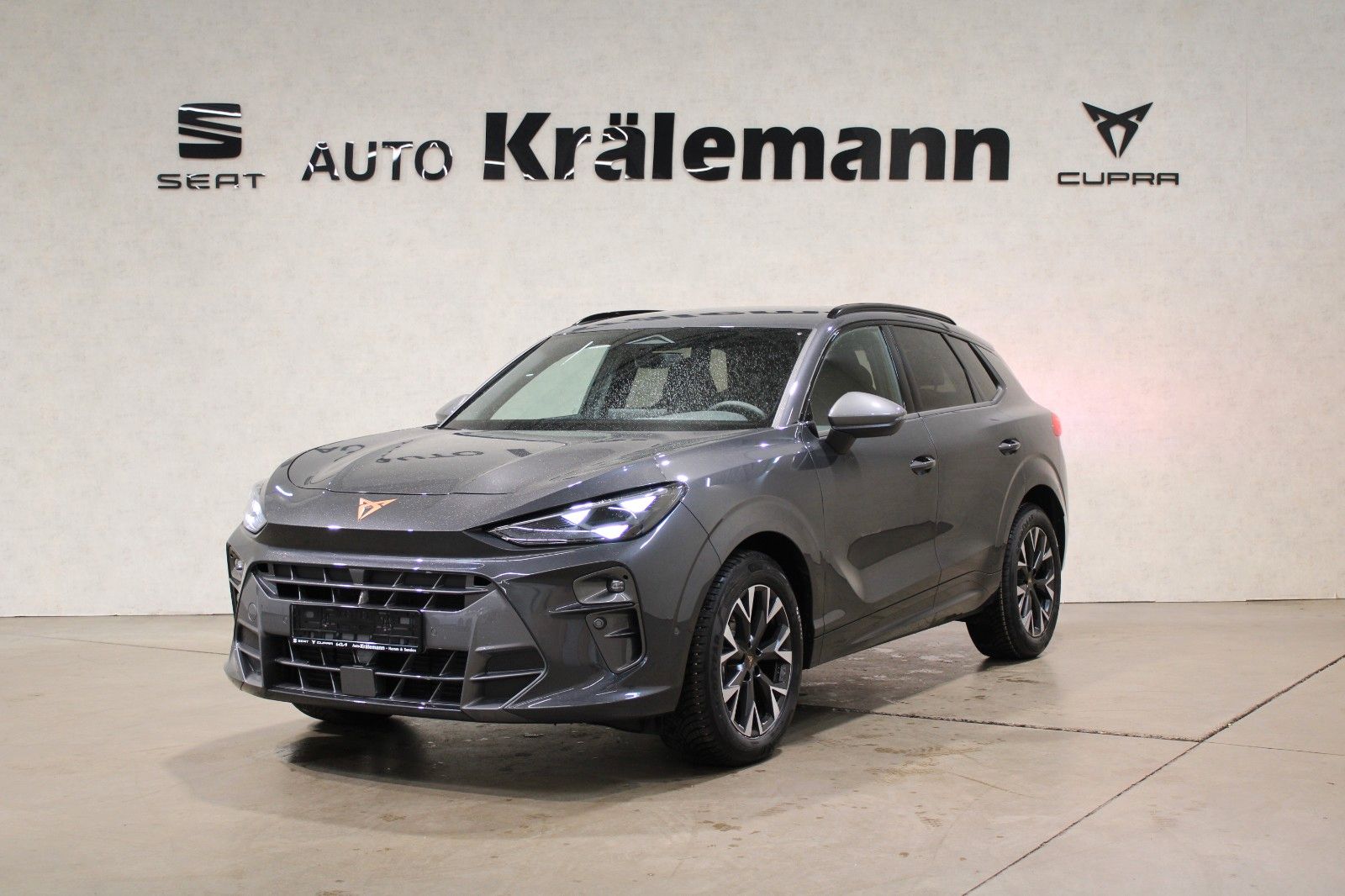 Cupra Terramar - Bild 3