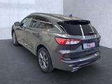 Ford Kuga Plug-In Hybrid ST-Line X Sportpaket Navi - Ford: Sport