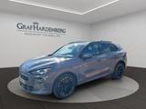 Seat Terramar VZ 2.0 TSI 4Drive DSG Pano Standheizung - Seat Terra Gebrauchtwagen