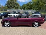 BMW E36 318i Cabrio*21.000KM-ORIGINAL*SAMMLERFAHRZEU - BMW 318 aus 1994