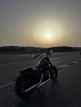 Harley-Davidson Street Bob - 2. Hand, unfallfrei, bobber aufbau  - HARLEY-DAVIDSON 2012 STREET BOB