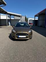 Ford Fiesta 1,0 EcoBoost SYNC TÜV/Zahnriemen NEU - Ford Fiesta: Gold