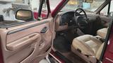 Ford Bronco - Ford Bronco Gebrauchtwagen