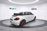 Volkswagen Beetle Cabriolet Design BI-XENON, SITZHEIZUNG - Volkswagen Beetle Gebrauchtwagen