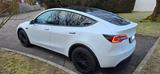 Tesla Model Y RWD Weiß - Tüv neu - 61.318 km - Top Z. - Tesla Model Y von privat