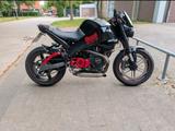 Buell Verkaufe oder tausche Buell XB 9s - BUELL XB9S