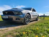 Ford Mustang - gebrauchte Ford Mustang aus dem Jahr 2010