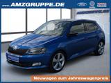 Skoda Fabia 1.2 TSI Joy Navi+PDC+Sitzheiz.+Tempomat - Skoda Fabia Gebrauchtwagen in Chemnitz