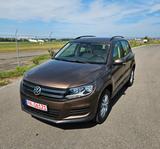 Volkswagen Tiguan Trend & Fun 4Motion  Automatik  Gepflegt - Volkswagen Tiguan: Braun