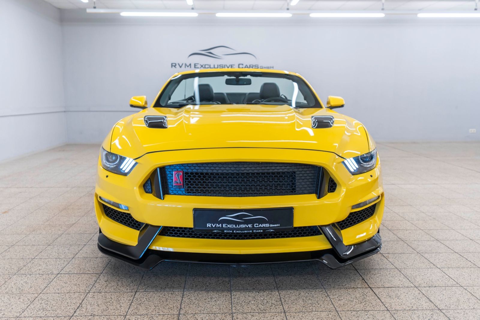 Fahrzeugabbildung Ford Mustang GT 5.0L KABRIO LPG KAM LEDER SHZ/SZK