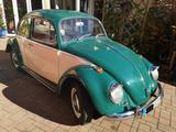 Volkswagen Oldtimer Käfer 1300 von 1965, mit Original... - Volkswagen aus 1965