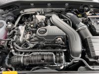 CUPRA Formentor 1.5 eTSI DSG PANO AHK 19