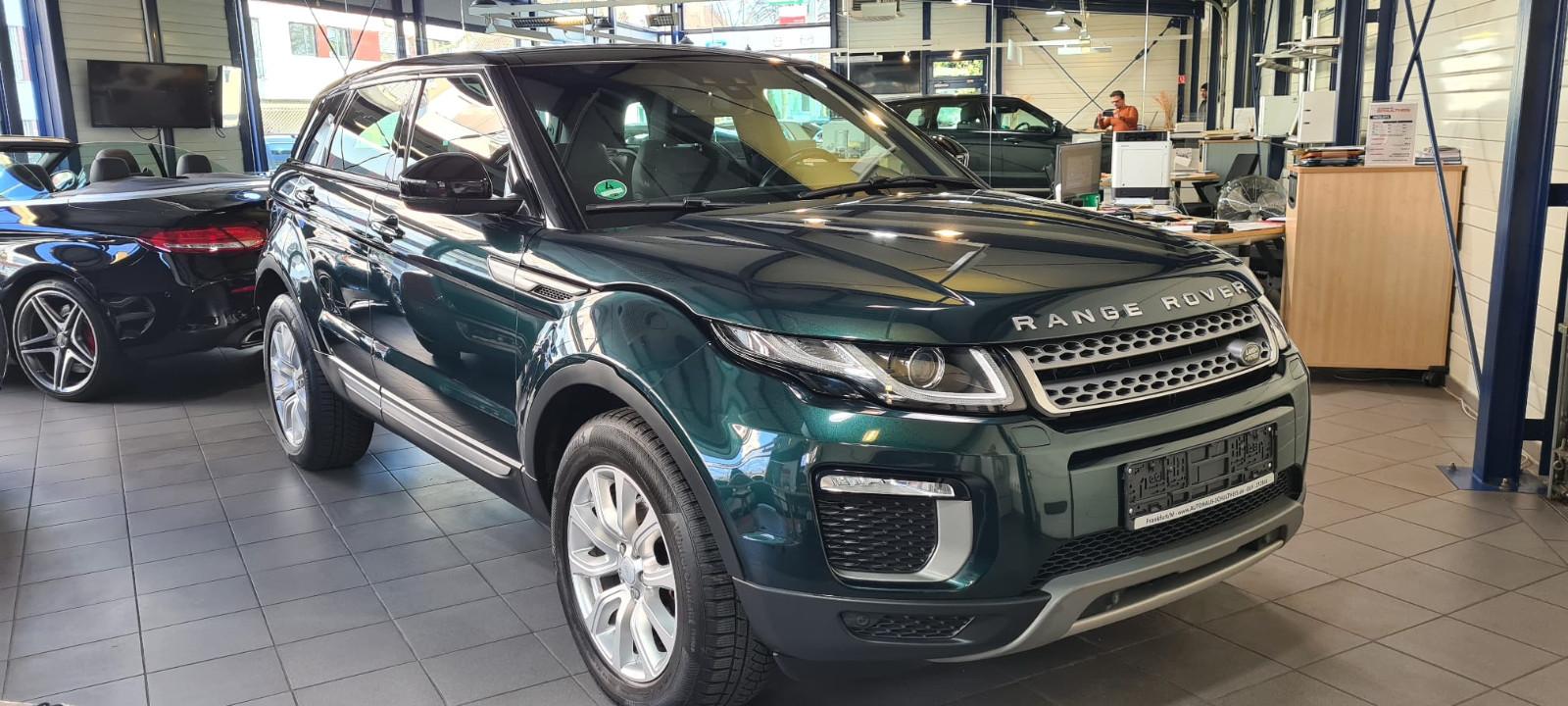 Land Rover Range Rover Evoque SE |NAVI|KAMERA|Garantie|