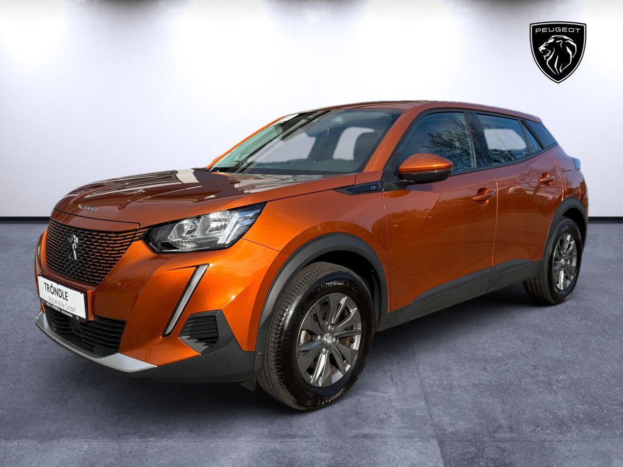 PEUGEOT e-2008 Active Tempomat 11kW-Lader DAB+ PDC