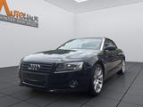 Audi A5 Cabrio 1.8 TFSI * NAVI * S-LINE * XEN - Audi A5 in Bochum