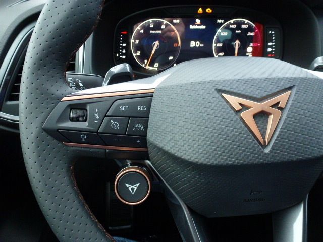 Fahrzeugabbildung CUPRA Ateca 1.5 TSI DSG + Beats + Panorama