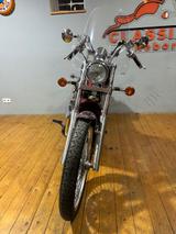 Suzuki VS 800 - Offers matching your search criteria