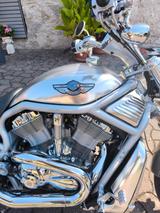 Harley-Davidson V-ROD Jubiläums Edition  - HARLEY-DAVIDSON 2003 V ROD