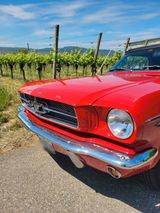 Ford Mustang Convertible 289 Cabrio elektr.Verdeck - Ford Mustang aus 1965 mit Benzin-Antrieb: Cabrio