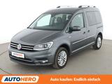 Volkswagen 2.0 TDI Highline BlueMotion Aut.*XENON*ACC*PDC* - Volkswagen Caddy: Bluemotion