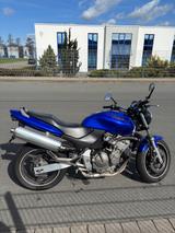 Honda CB 600F Hornet PC34 TÜV Neu - HONDA 2001 HORNET 600