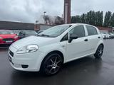 Fiat Punto 1.2 8V *BASIS*TÜV NEU*ÖL NEU*5TÜR* - gebrauchte Fiat Punto aus dem Jahr 2011